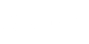 Syntage